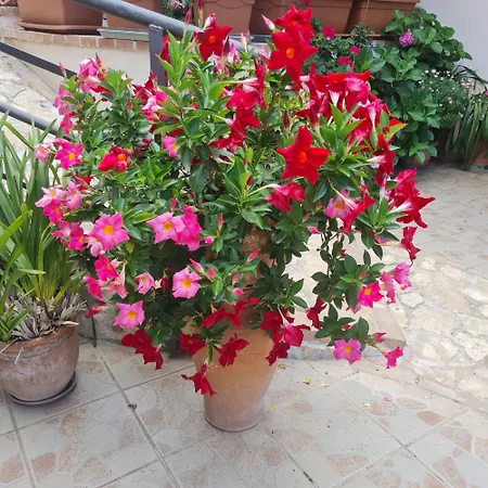 La Casa Di Martina *