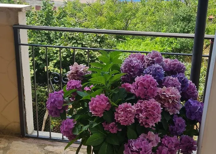 Apartamento La Casa Di Martina Zaccanopoli