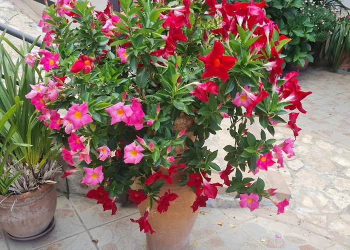 La Casa Di Martina *